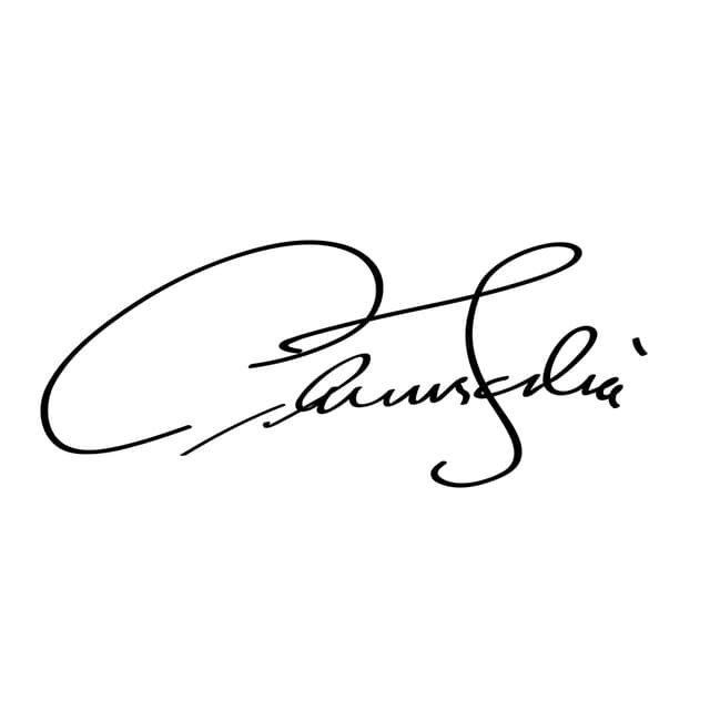 Director signature